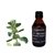 Tintura Madre Marrubio 60 cc Antiinflamatorio, Diurético y Depurativo