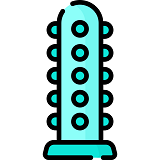 Categoria 10