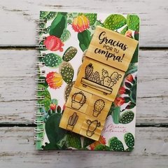 Kit Cactus 1