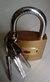 Cadeado Tetra 50mm PADLOCK - comprar online