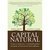 Capital Natural -  Como As Empresas e A Sociedade Podem Prosperar ao Investir No Meio Ambiente