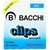 Clips 4/0 Niquelados C/50 - Bacchi