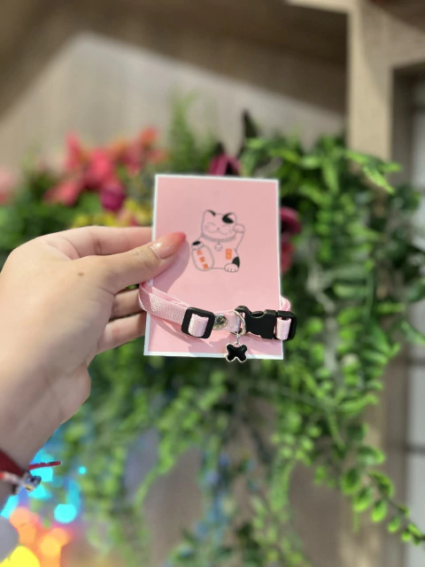 Collar Gato elastizado