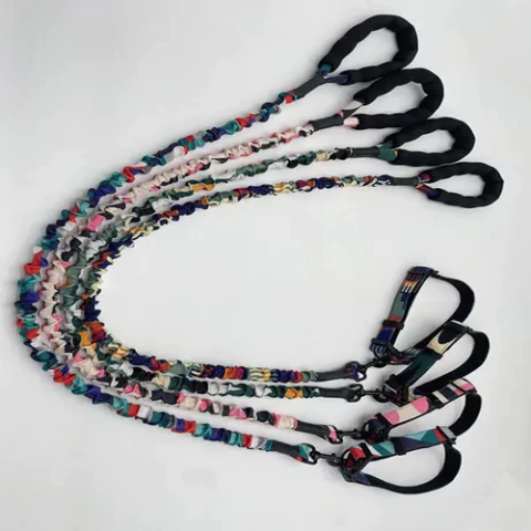 Collar y correa elastica nortom