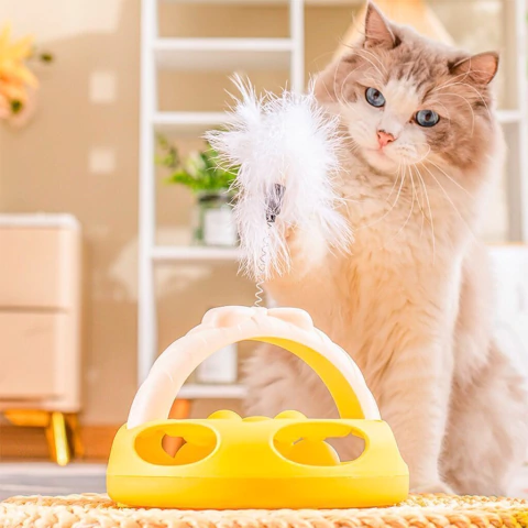 canasto circular gato