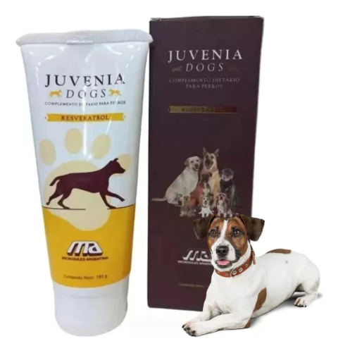 juvenia dogs