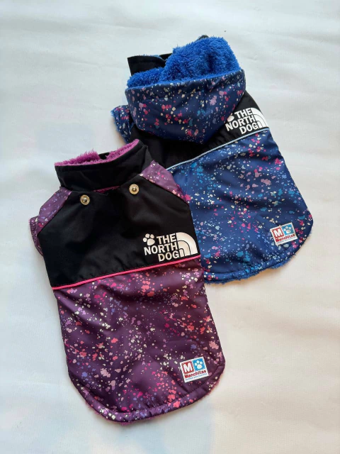 Campera the northdog