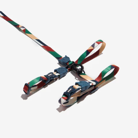 ZEECAT PACCO set correa y pretal gato