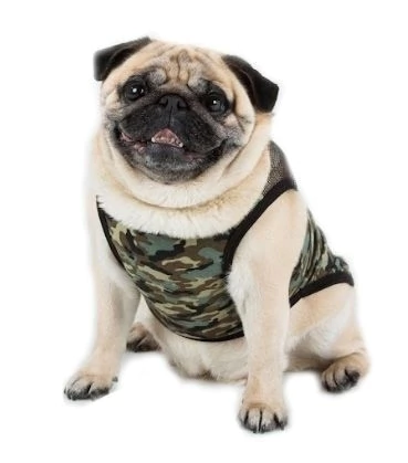 Musculosa Camuflada Ryr