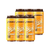 CERVEZA EN LATA ARTESANAL HONEY X 473 CC BLEST - (PACK x 6 Unidades)