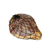 JAMON CRUDO SIN HUESO (12 MESES) RENDIDOR SIN CUERO DOINA- 4.5 KG APROX POR PIEZA - comprar online