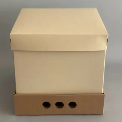 MINI PACK x 2 u DRIP BOX 25 laterales Class TAPA SIMPLE CARTULINA Class color natural (25x25x25 cm) Nueva! en internet