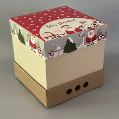 MINI PACK x 2 u NAVIDAD 01 - DRIP BOX 25 CLASS - NAVIDAD PAPÁ NOEL (25x25x25 cm) CAJA REFORZADA NAVIDEÑA - tienda online