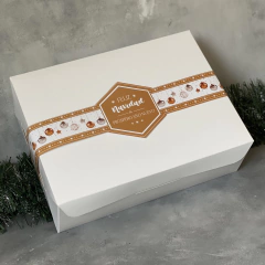 MINI PACK x 2 u DELY 30 sin visor (30x22x10 cm) con faja Ilustrada NAVIDEÑA Oro & Plata