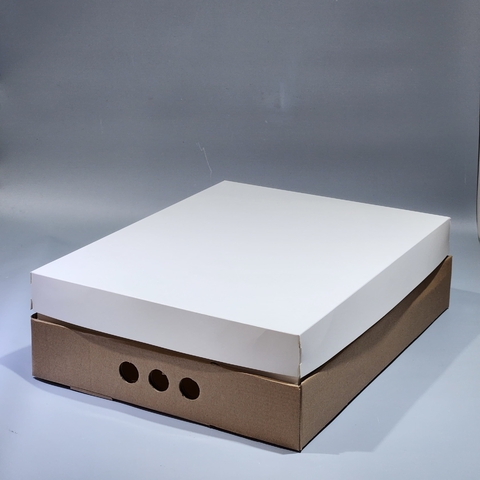 MINI PACK x 2 u NUMBER BOX tapa blanca (42x32x12 cm) Nuevo!