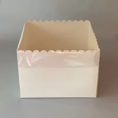 Pack x 2 u CAKE 20 (20x20x20 cm) CAJA PARA TORTAS / MINI DRIP - comprar online
