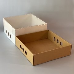 MINI PACK x 2 u DES 30 (30x30x12 cm) - Nuevo ! - wincopack