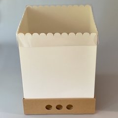 MINI PACK x 2 u DRIP BOX 32 (25x25x32 cm) - Nuevo ! - comprar online