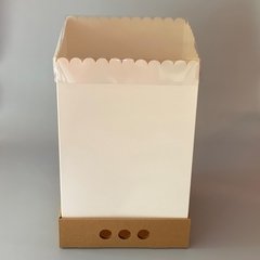 MINI PACK x 2 u DRIP BOX 40 (25x25x40 cm) - Nuevo ! en internet