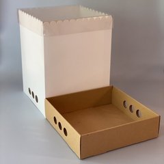 MINI PACK x 2 u DRIP BOX 40 (25x25x40 cm) - Nuevo ! - wincopack