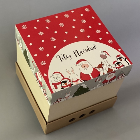 MINI PACK x 2 u NAVIDAD 01 - DRIP BOX 25 CLASS - NAVIDAD PAPÁ NOEL (25x25x25 cm) CAJA REFORZADA NAVIDEÑA