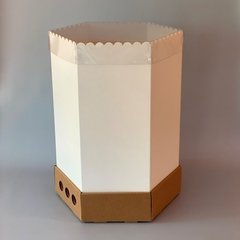 MINI PACK x 2 u HEXA DRIP 40 (25x25x40 cm) - Nuevo ! - wincopack