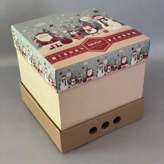 MINI PACK x 2 u NAVIDAD 03 - DRIP BOX 25 CLASS - NAVIDAD NÓRDICA (25x25x25 cm) CAJA REFORZADA NAVIDEÑA en internet