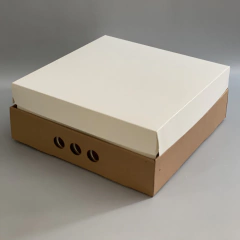 MINI PACK x 2 u BIG BOX 12 TAPA SIMPLE CARTULINA BLANCA (35x35x12cm) - comprar online