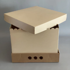 MINI PACK x 2 u MID BOX 25 CLASS, TAPA CARTULINA CLASS (30x30x25 cm) Nueva! color natural - comprar online