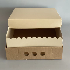 MINI PACK x 2 u DES 25 CLASS, TAPA CLASS (25x25x12 cm) Nueva! color natural en internet