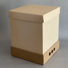 MINI PACK x 2 u DRIP BOX 32 CLASS TAPA SIMPLE CARTULINA CLASS (25x25x32 cm) Nueva! color natural - wincopack