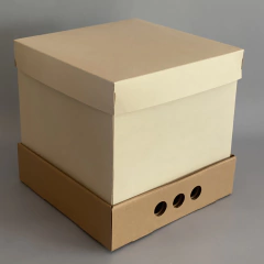 MINI PACK x 2 u DRIP BOX 25 laterales Class TAPA SIMPLE CARTULINA Class color natural (25x25x25 cm) Nueva! - wincopack