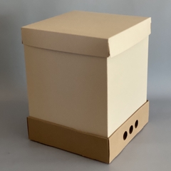 MINI PACK x 2 u MID BOX 40 CLASS (30x30x40 cm) Nueva! Color natural con tapa Class - wincopack