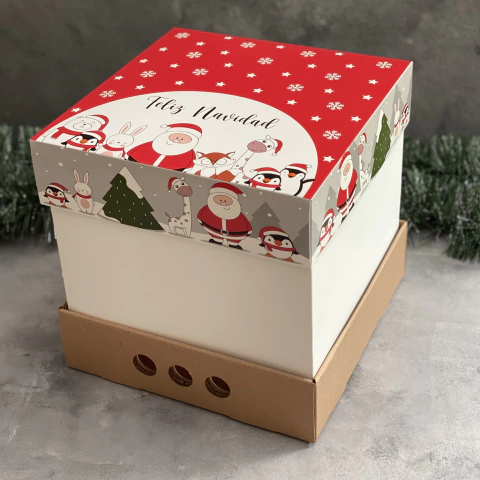 Pack x 2 u NAVIDAD 01 - DRIP BOX 25 - NAVIDAD PAPÁ NOEL (25x25x25 cm) CAJA REFORZADA NAVIDEÑA