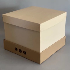 MINI PACK x 2 u MID BOX 25 CLASS, TAPA CARTULINA CLASS (30x30x25 cm) Nueva! color natural