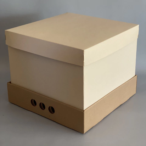 MINI PACK x 2 u MID BOX 25 CLASS, TAPA CARTULINA CLASS (30x30x25 cm) Nueva! color natural