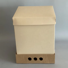 MINI PACK x 2 u DRIP BOX 32 CLASS TAPA SIMPLE CARTULINA CLASS (25x25x32 cm) Nueva! color natural - tienda online