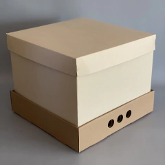 MINI PACK x 2 u MID BOX 25 CLASS, TAPA CARTULINA CLASS (30x30x25 cm) Nueva! color natural - wincopack