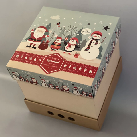 MINI PACK x 2 u NAVIDAD 03 - DRIP BOX 25 CLASS - NAVIDAD NÓRDICA (25x25x25 cm) CAJA REFORZADA NAVIDEÑA