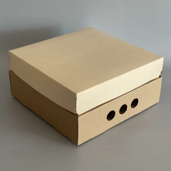 MINI PACK x 2 u DES 25 CLASS, TAPA CLASS (25x25x12 cm) Nueva! color natural - wincopack