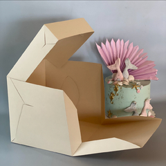 Nuevo! MINI PACK x 2 u Q BOX 20 CLASS (20x20x20 cm) CAJA PARA TORTAS / MINI DRIP Nueva!