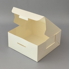 Pack x 2 u DELY 22 sin visor (22x22x10 cm) DELIVERY DULCE / TARTAS en internet