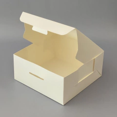 Pack x 2 u DELY 28 sin visor (28x28x10 cm) DELIVERY DULCE / TARTAS - comprar online