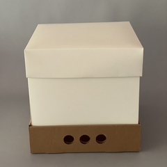 MINI PACK x 2 unidades MID BOX 25 TAPA CARTULINA sin visor (30x30x25 cm) - Nuevo ! en internet