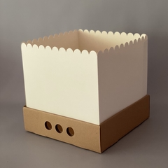 Imagen de Pack x 2 u DRIP BOX 25 TAPA CARTULINA sin visor (25x25x25 cm)