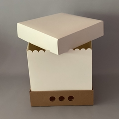 MINI PACK x 2 unidades MID BOX 25 TAPA CARTULINA sin visor (30x30x25 cm) - Nuevo !