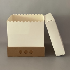 MINI PACK x 2 unidades MID BOX 25 TAPA CARTULINA sin visor (30x30x25 cm) - Nuevo ! - wincopack