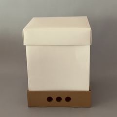 MINI PACK x 2 unidades MID BOX 32 TAPA CARTULINA BLANCA sin visor (30x30x32 cm) - Nuevo ! en internet