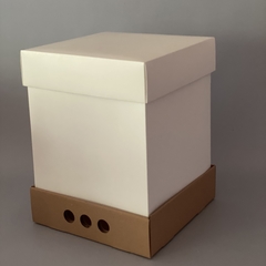 MINI PACK x 2 unidades MID BOX 32 TAPA CARTULINA BLANCA sin visor (30x30x32 cm) - Nuevo ! - comprar online