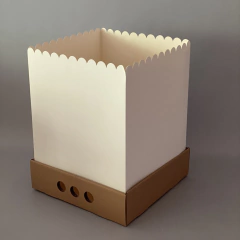 Mini Pack x 2 u DRIP BOX 32 TAPA CARTULINA sin visor (25x25x32 cm) - wincopack